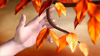 Autumn_2
